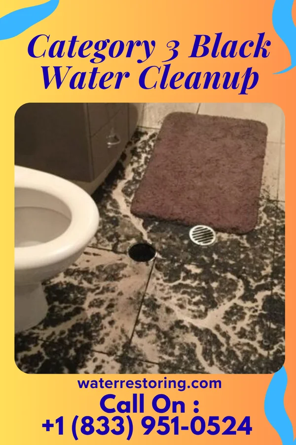Category 3 Black Water Cleanup in Hill 'n Dale, FL